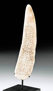 Ancient Tonga Island Incised Shell Artifact + Catalog