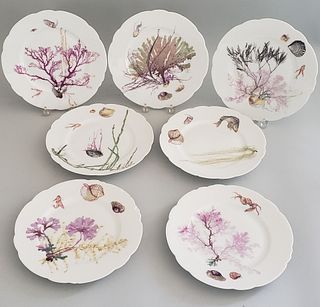 Set of 7 Haviland Limoges Seaweed Plates, 19th Century