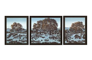 Betty Sabo, Winter Sunset (Triptych)
