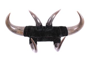 Hobson, Montana General Store Steer Horn Coat Rack