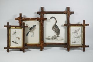 (7) 19TH C. PRINTS OF INSECTS, BIRDS AND PLANTS IN WALNUT COTTAGE FRAMES