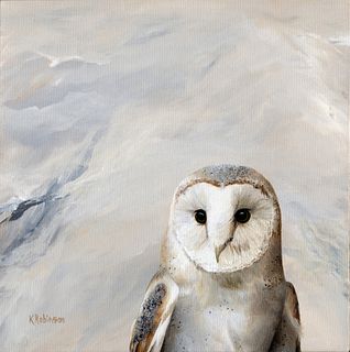 Karen Robinson Barn Owl Common Yet Regal Beauty