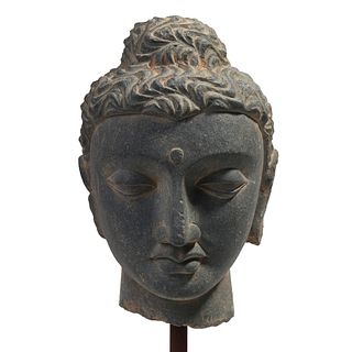 AN INDIAN GANDHARA STONE HEAD OF BUDDHA