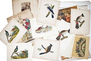 Print Collection (American/European, 19th - 20th Century)
