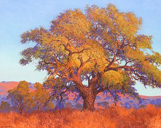 Contemporary Scott Fitzgerald California Oak Tree