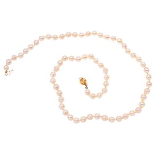 Collar de perlas y broche en oro amarillo de 14k. 65 perlas cultivadas color crema de 6 mm. Peso: 22.5 g.
