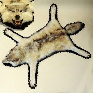 Mounted and Felt Lined Wolf Skin.
