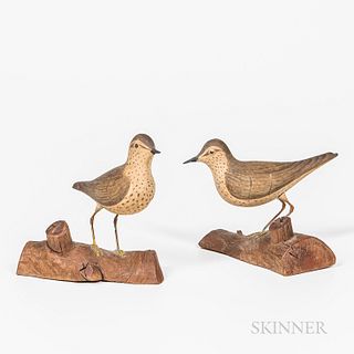 Pair of Decorative Carved and Painted Spotted Sandpiper Carvings