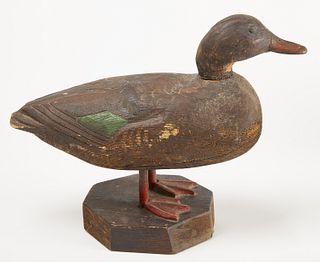 Charles Hart - Standing Black Duck