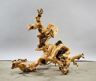 Chinese Naturalistic Free Form Root Wood Sculpture