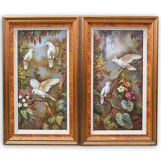 Pair of Signed Parrot Oil Paintings