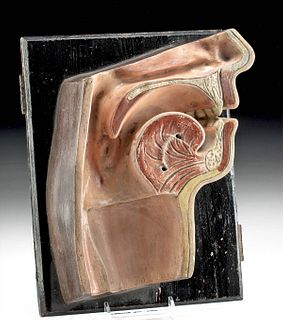 19th C. German Wood / Papier Mache Anatomy Throat Model