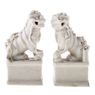 Pair of Chinese Blanc de Chine Foo Dogs