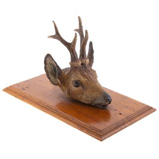 Vienna Cold Painted Bronze Deer Head Paper Clip