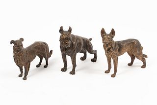 Three Austrian Cold Painted Bronze Dogs
Width of first dog 7 1/2 inches.