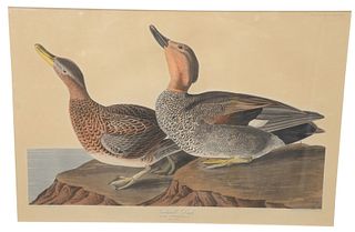 After John James Audubon (American, 1785 - 1851), engraved by Havell, "Gaswall Duck" plate CCCXLVIII, hand-colored aquatint engraving on J. Whatman pa