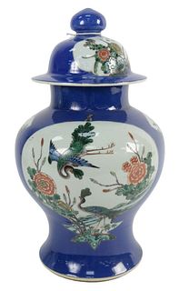 Chinese Powder Blue/Famille Verte Covered Baluster Jar reserves painted with flying phoenix and chrysanthemums,19th century, height 17 inches.