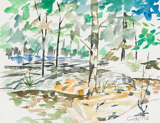 Philip Campbell Curtis  Untitled (Landscape)