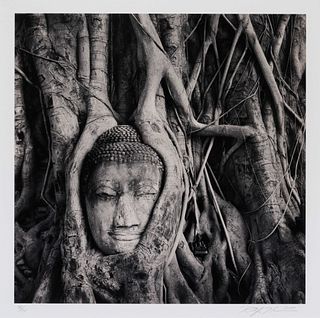 Rolfe Horn
(American, b. 1971)
Buddha in Trees, 2000