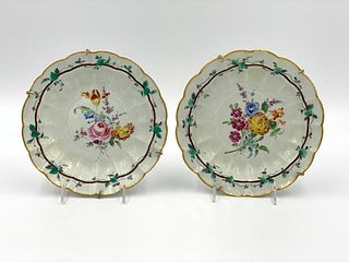 Pair of Continental Hand Painted porcelain Plates, 18thc.