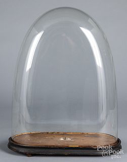 Large glass dome