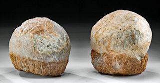 Pair of Fossilized Hadrosauridae Dinosaur Eggs