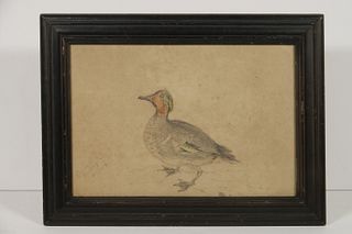 EARLY 19TH C. DRAWING OF A DUCK