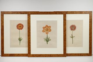 (SET OF 3) PAINTINGS OF FLOWERS SIGNED 'L.R. LAGGETTE'
