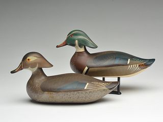 Pair of wood ducks, Madison Mitchell, Havre de Grace, Maryland.