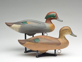 Pair of greenwing teal, Madison Mitchell, Havre de Grace, Maryland.