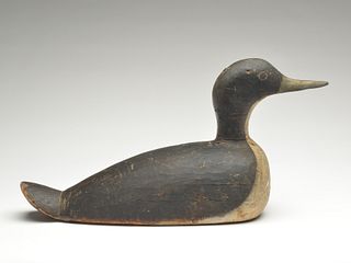 Working loon decoy from Shelburne County, Nova Scotia, Unknown maker, 1st quarter 20th century