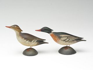 Miniature pair of red breasted mergansers, Elmer Crowell, East Harwich, Massachusetts, circa 1905.