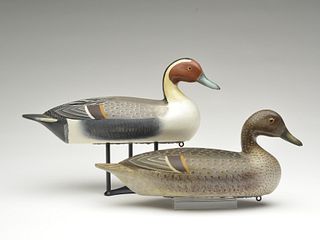 Pair of pintails, Charles Perdew, Henry Illinois.