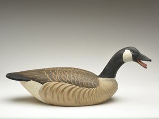 Hollow carved special order Canada goose, Ward Brothers, Crisfield, Maryland.