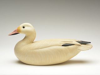 Full size decorative snow goose, Ward Brothers, Crisfield, Maryland.
