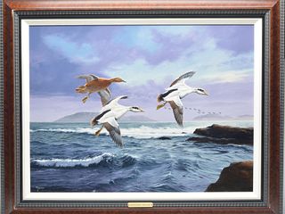 "Scouting the Coast - Common Eiders," an oil on board by David Maass.