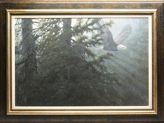 Oil on board of eagle flying through pine forest, John Seerey-Lester.
