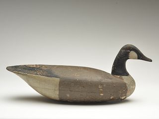 Canada goose, Jess Birdsall, Point Pleasant, New Jersey, last quarter 19th century.