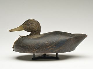 Excellent black duck, Fred Croft, Belleville, Ontario, 1st quarter 20th century.
