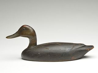 Early model black duck, Nichols, Smiths Falls, Ontario.