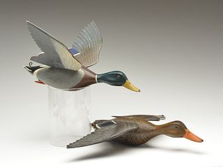 Rare and possibly the only pair of full size flying mallards, Hec Whittington, Oglesby, Illinois, circa 1950.