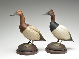 Excellent pair of full size standing canvasbacks, William Gibian, Onancock, Virginia.