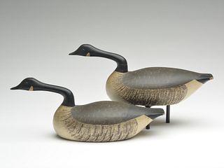 Matched pair of 1/4 size Canada geese, Joseph Lincoln, Accord, Massachusetts, circa 1930.
