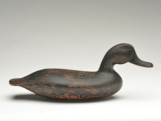 Rare swimming black duck, John Blair, Jr., 1st quarter 20th century.