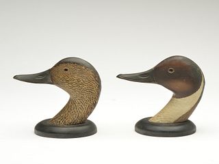 Pair of pintail heads mounted on oval bases, Elmer Crowell, East Harwich, Massachusetts.