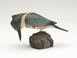 Rare female kingfisher, Elmer Crowell, East Harwich, Massachusetts, 1st quarter 20th century.