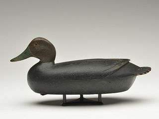Black duck, William Welker, Pennsylvania, 1st quarter 20th century.