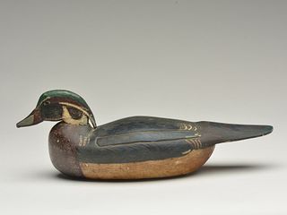 Wood duck drake, Harry Fennimore, Bordentown, New Jersey.