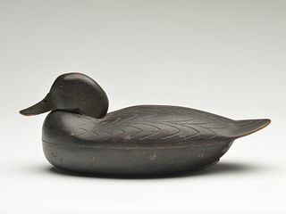 Black duck, Harry Fennimore, Bordentown, New Jersey, 1st quarter 20th century.