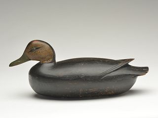 Black duck, Jess Heisler, Burlington, New Jersey, circa 1920.